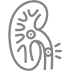Ureterorrenolitotripsia