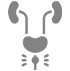 prostatectomia total